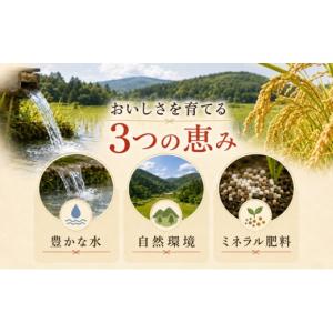 ふるさと納税 米 コシヒカリ 新潟県 上越市 ...の詳細画像4