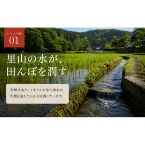 ふるさと納税 米 コシヒカリ 新潟県 上越市 ...の詳細画像5