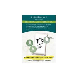 ふるさと納税 米 熊本県 玉名市 暮らし生活 ...の詳細画像2
