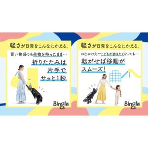 ふるさと納税 雑貨・日用品 茨城県 つくばみら...の詳細画像3