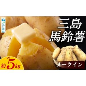 ふるさと納税 野菜類 じゃがいも 静岡県 三島市 先行予約2026年7月上旬より順次発送 じゃがいも 約5kg 三島馬鈴薯 JAふじ伊豆 馬鈴薯 メークイン 箱根西麓三…
