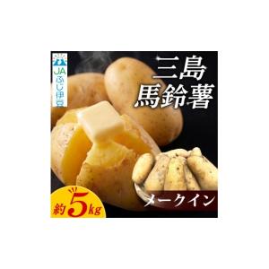 ふるさと納税 野菜類 じゃがいも 静岡県 三島...の詳細画像1