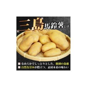 ふるさと納税 野菜類 じゃがいも 静岡県 三島...の詳細画像2