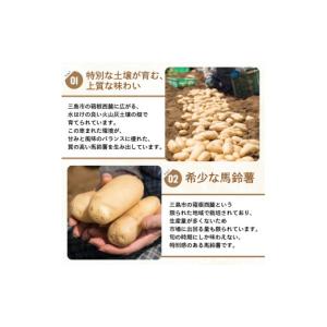 ふるさと納税 野菜類 じゃがいも 静岡県 三島...の詳細画像3
