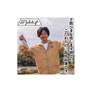 ふるさと納税 野菜類 じゃがいも 静岡県 三島...の詳細画像4