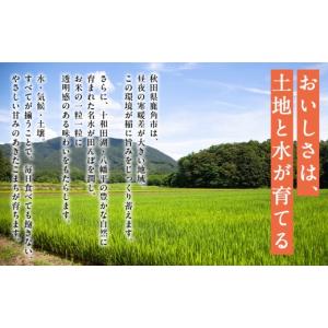ふるさと納税 米 あきたこまち 秋田県 鹿角市...の詳細画像2