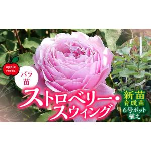 ふるさと納税 雑貨・日用品 花 埼玉県 飯能市...の詳細画像1