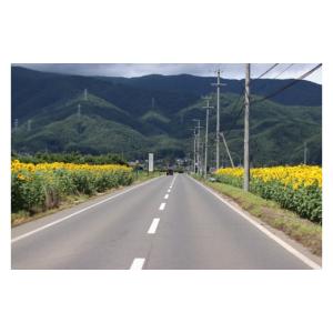 ふるさと納税 スイカ 長野県 山形村 山形村産...の詳細画像4