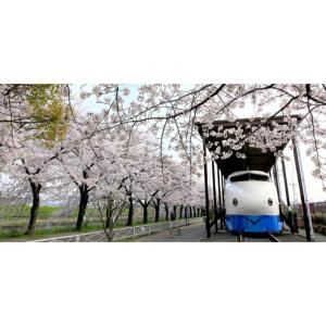 ふるさと納税 電化製品 大阪府 摂津市 水槽用...の詳細画像5