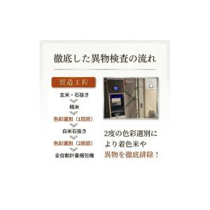 ふるさと納税 米 茨城県 筑西市 先行予約 令...の詳細画像4