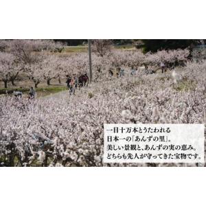 ふるさと納税 雑貨・日用品 写真 長野県 千曲...の詳細画像4