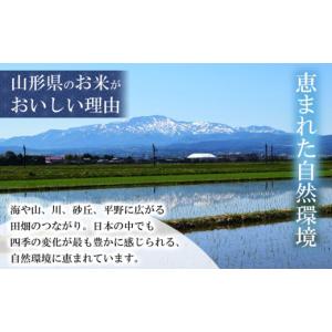 ふるさと納税 米 つや姫 山形県 鶴岡市 令和...の詳細画像4
