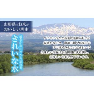 ふるさと納税 米 つや姫 山形県 鶴岡市 令和...の詳細画像5