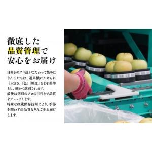 ふるさと納税 りんご 青森県 平川市 2027...の詳細画像3