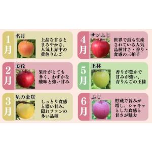 ふるさと納税 りんご 青森県 平川市 2027...の詳細画像4
