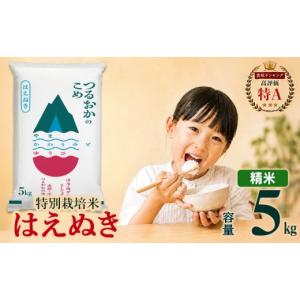 ふるさと納税 米 はえぬき 山形県 鶴岡市 令和7年産 特別栽培米 はえぬき 精米 5kg (5kg×1袋)　山形県 庄内産 　| 5キロ 米 お米 コメ 白米 食品 ご飯 ごは…