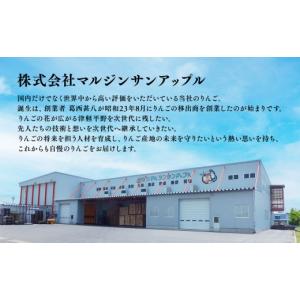 ふるさと納税 りんご 青森県 平川市 2027...の詳細画像5