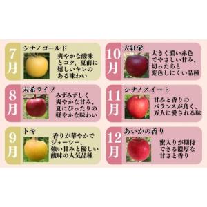 ふるさと納税 りんご 青森県 平川市 2027...の詳細画像5