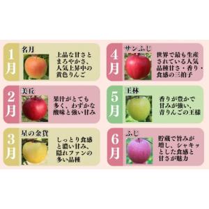 ふるさと納税 りんご 青森県 平川市 2027...の詳細画像4