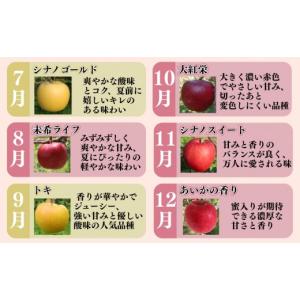 ふるさと納税 りんご 青森県 平川市 2027...の詳細画像5