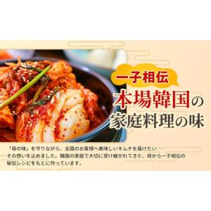 ふるさと納税 加工品等 キムチ 佐賀県 神埼市...の詳細画像2
