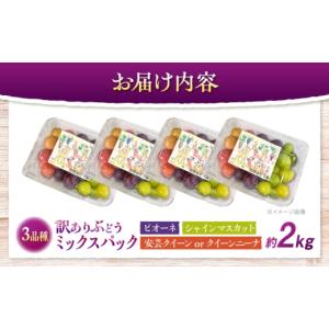 ふるさと納税 果物類 ぶどう 広島県 三次市 ...の詳細画像4