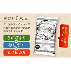 ふるさと納税 米 佐賀県 江北町 最短3営業日...の詳細画像5