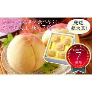 ふるさと納税 もも 岡山県 岡山市 全7回お届け 総社もも生産組合　食べ尽くし　厳選超大玉　極み7選コース 7月下旬以降発送
