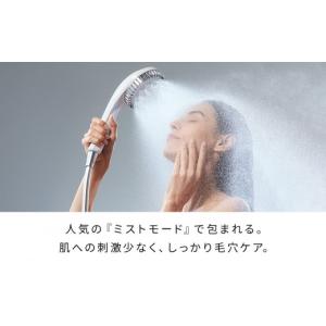 ふるさと納税 美容 愛知県 名古屋市 ホワイト...の詳細画像2