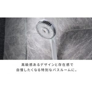 ふるさと納税 美容 愛知県 名古屋市 ホワイト...の詳細画像3