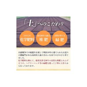 ふるさと納税 麺類 鹿児島県 姶良市 a110...の詳細画像5