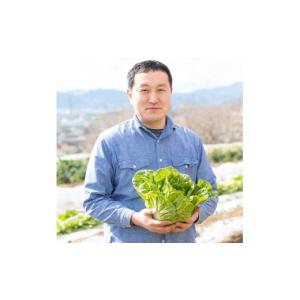 ふるさと納税 豆類 落花生 神奈川県 秦野市 ...の詳細画像2