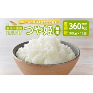 ふるさと納税 米 つや姫 宮城県 登米市 12...の詳細画像1