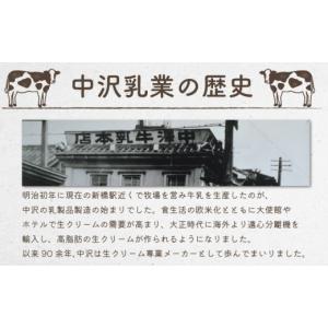 ふるさと納税 加工品等 神奈川県 藤沢市 無塩...の詳細画像4