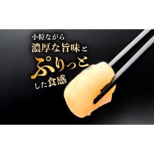 ふるさと納税 魚貝類 ホタテ 北海道 遠別町 ...の詳細画像2