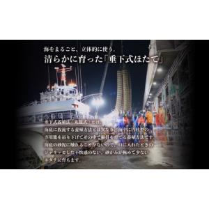 ふるさと納税 魚貝類 ホタテ 北海道 遠別町 ...の詳細画像5