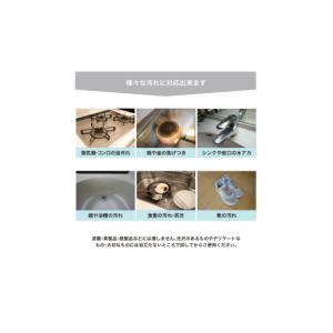 ふるさと納税 雑貨・日用品 千葉県 東金市 東...の詳細画像4
