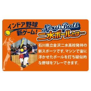 ふるさと納税 スポーツ・アウトドア 石川県 か...の詳細画像3