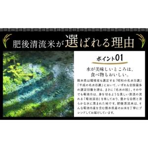 ふるさと納税 無洗米 熊本県 菊池市 12ヶ月...の詳細画像2