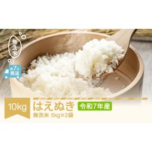 ふるさと納税 米 はえぬき 山形県 村山市 ス...の詳細画像1