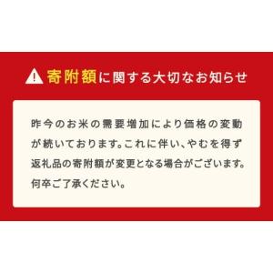 ふるさと納税 米 はえぬき 山形県 村山市 ス...の詳細画像4