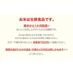 ふるさと納税 米 はえぬき 山形県 村山市 ス...の詳細画像5