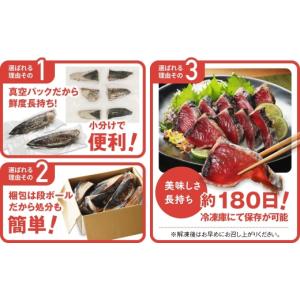 ふるさと納税 カツオ 愛媛県 愛南町 9月発送...の詳細画像4