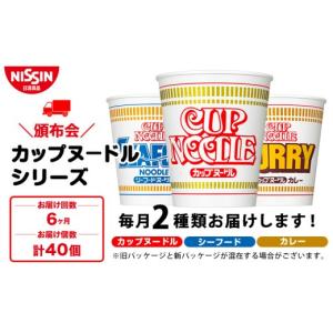 ふるさと納税 麺類 北海道 千歳市 頒布会6か...の詳細画像1