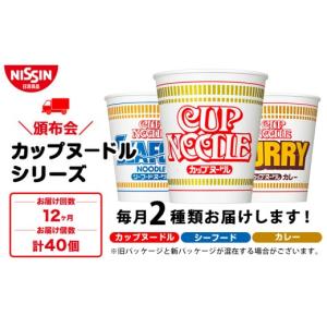 ふるさと納税 麺類 北海道 千歳市 頒布会12か月 日清　カップヌードルシリーズ2種40個（各20食）
