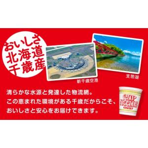 ふるさと納税 麺類 北海道 千歳市 頒布会12...の詳細画像4