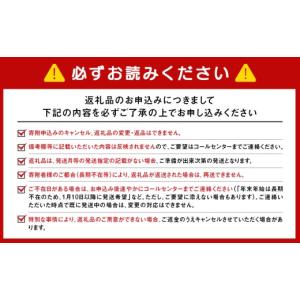 ふるさと納税 麺類 北海道 千歳市 頒布会12...の詳細画像5
