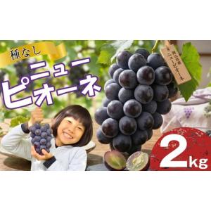 ふるさと納税 果物類 ぶどう 岡山県 勝央町 岡山県産 ニューピオーネ 2kg ぶどう フルーツ お中元 ギフト 御祝 御礼 贈答用 プレゼント 敬老の日 高級 フルー…