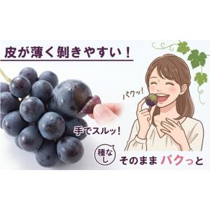 ふるさと納税 果物類 ぶどう 岡山県 勝央町 ...の詳細画像3