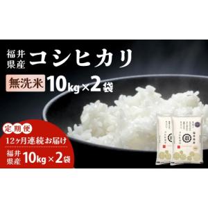 ふるさと納税 米 コシヒカリ 福井県 敦賀市 定期便12回 福井県産 コシヒカリ 無洗米 20kg（10kg×2） 令和7年産 米 コメ お米 精米 白米 無洗米 玄米 ご飯 飯…